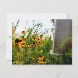 Smith Friedhof Naturschutzgebiet, Ohio Postkarte