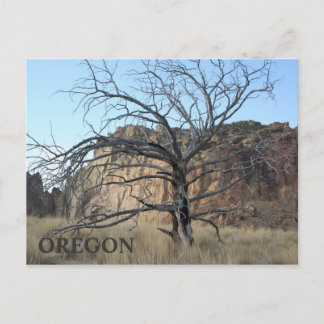Smith Rock Rocks Postkarte