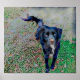 Smokey glüht in brillanten Fasern in Farbe Poster