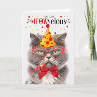Smokey Gray Persian Cat MEOWvelous Birthday