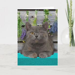"Smokey" Greeting Card Karte