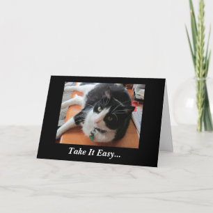 Smokey le chat obtiennent bientôt la carte bonne