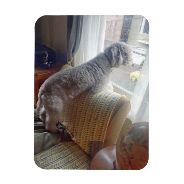 Smokey Magnet (Vertikal)