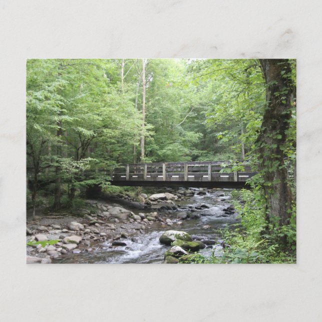 Smokey Mountain Creek Postkarte (Vorderseite)
