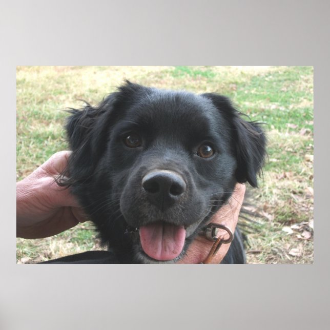 Smokey-Posen für die Kamera Poster (Vorne)