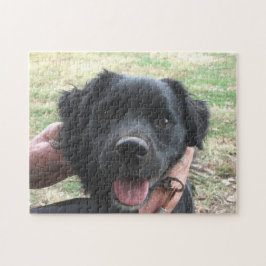 Smokey Poses For Camera