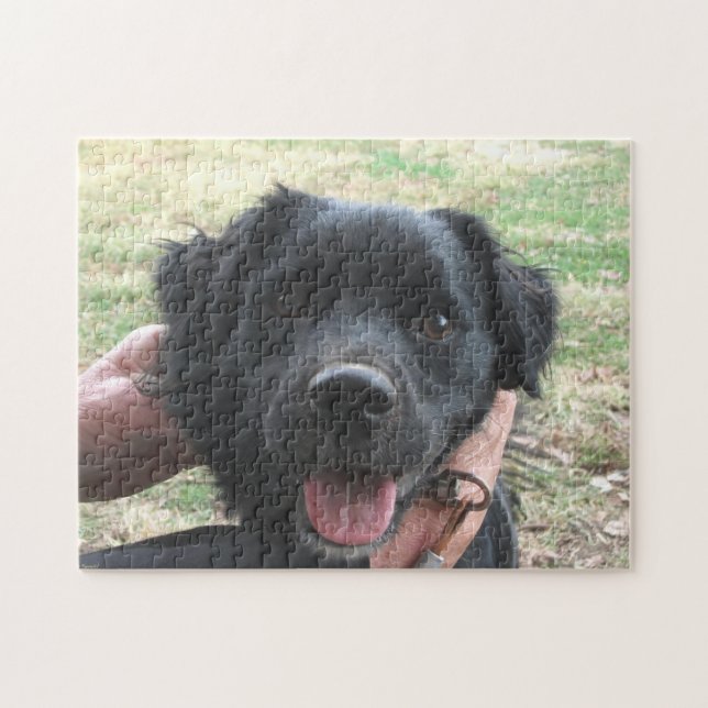 Smokey Poses For Camera (Horizontal)