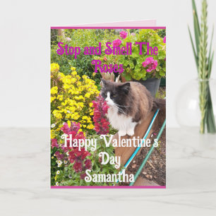 Smoking-Cat schnuppert an Blumen Lustiger Valentin Karte