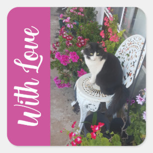 Smoking-Katze Katzen und Blumen Mädchen Name Dunke Quadratischer Aufkleber