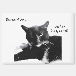 Smoking-Katze mit zweideutigem Lächeln Magnet