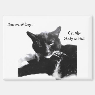 Smoking-Katze mit zweideutigem Lächeln  Magnet