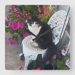 Smokingjacke Katze Marone Dunkelrosa Katzen und Bl Quadratische Wanduhr