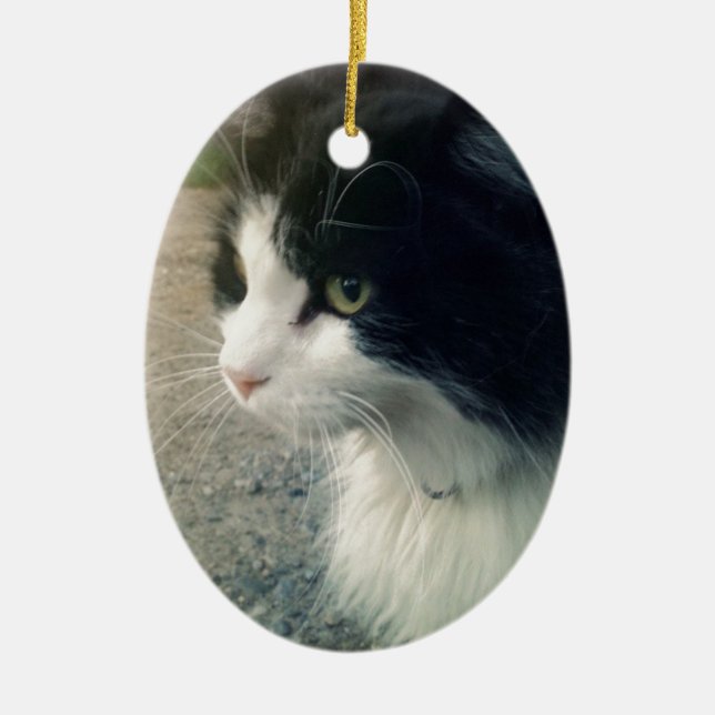 Smokings-Katze Keramikornament (Vorne)