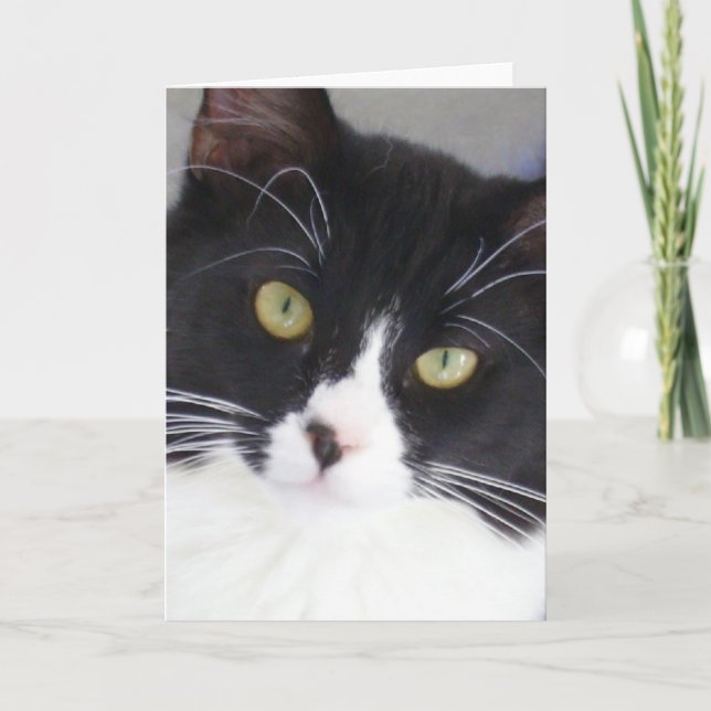 Smokings-Katzen-Gesichts-Gruß-Karte Karte (Vorderseite)