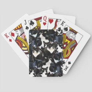 Smokings-Katzen-Verrücktheit Spielkarten
