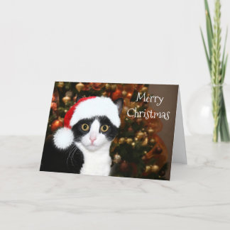 Smokings-Katzen-Weihnachten Feiertagskarte