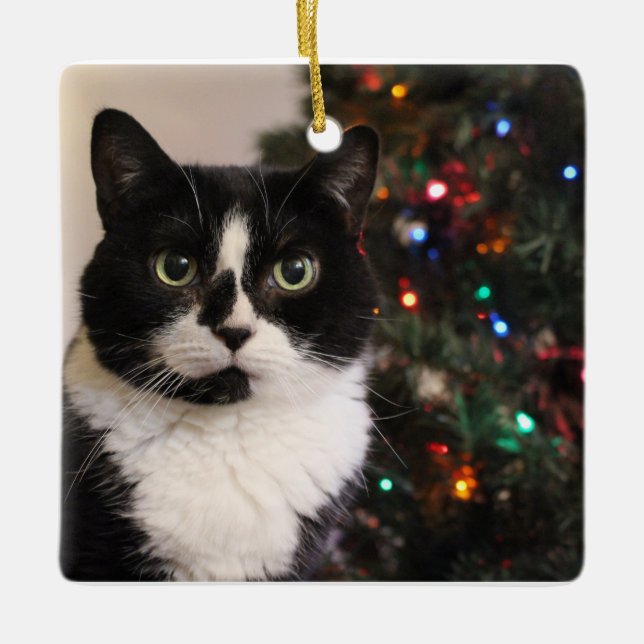Smokings-Katzen-Weihnachtsverzierung Keramikornament (Vorderseite)