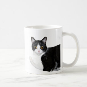 Smokingskatze Kaffeetasse