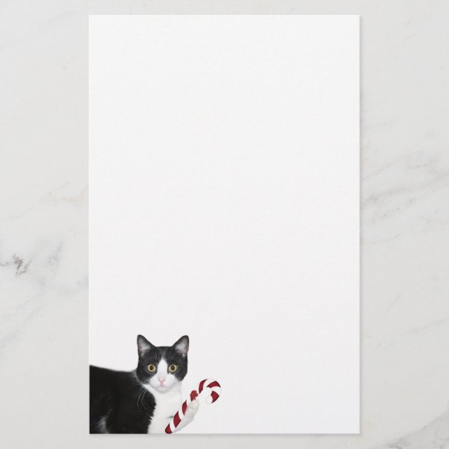 Smokingskatze Weihnachten Briefpapier (Vorderseite)