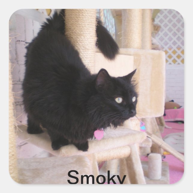 Smoksticker Quadratischer Aufkleber (Vorderseite)