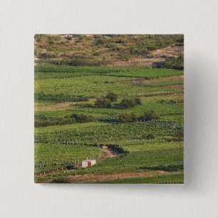 Smokvica-Weinberge auf Korcula von der Toreta Button