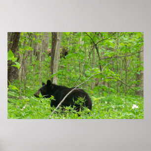 Smoky-Bär Poster