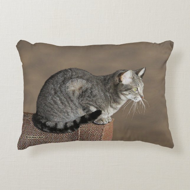 Smoky Gray Tabby Cat Dekokissen (Vorderseite)
