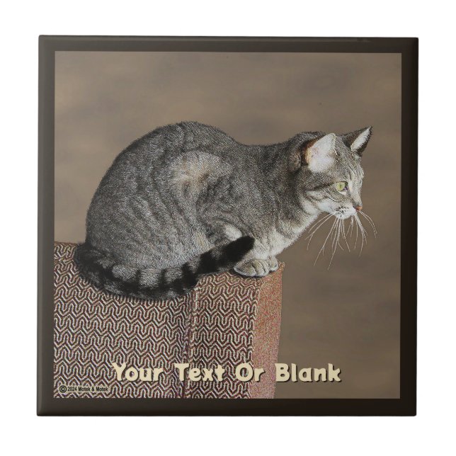 Smoky Gray Tabby Cat Fliese (Vorderseite)