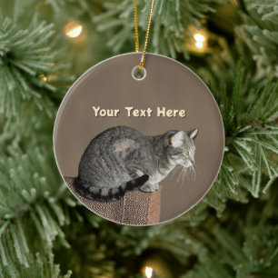 Smoky Gray Tabby Cat Keramik Ornament