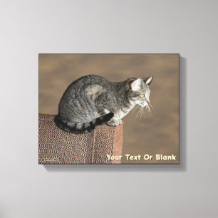 Smoky Gray Tabby Cat Leinwanddruck