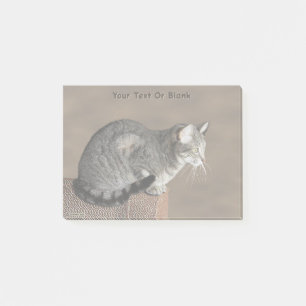 Smoky Gray Tabby Cat Post-it Klebezettel