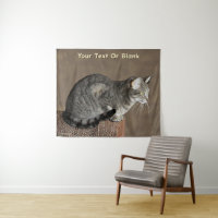Smoky Gray Tabby Cat