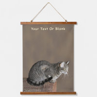 Smoky Gray Tabby Cat