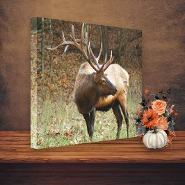 Smoky Mountain Elk Leinwand