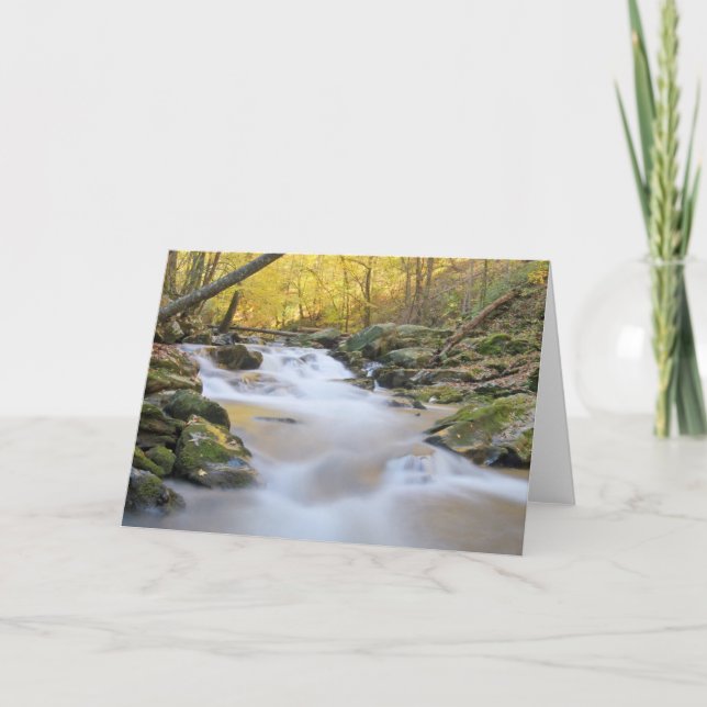 Smoky Mountain Stream Karte (Vorderseite)
