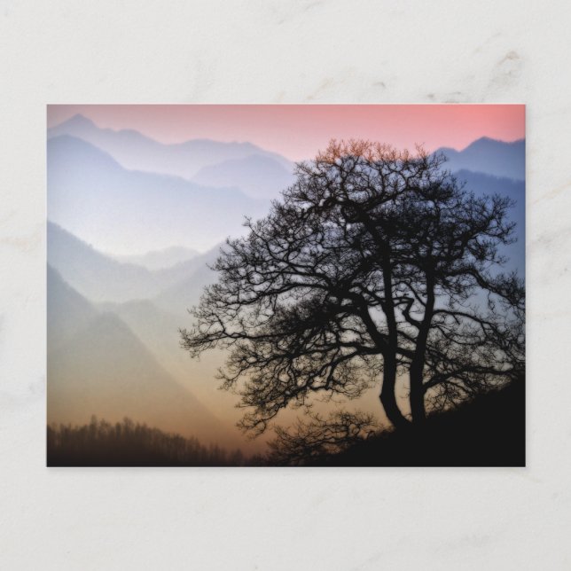 Smoky Mountain Sunset Blue Ridge Foto Postkarte (Vorderseite)