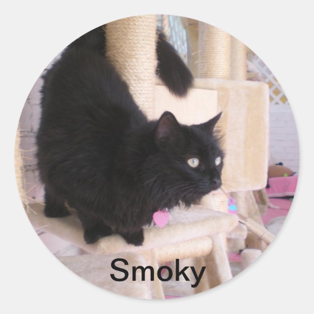 Smoky - Schwarze Katzen RULE! Aufkleber (Vorderseite)