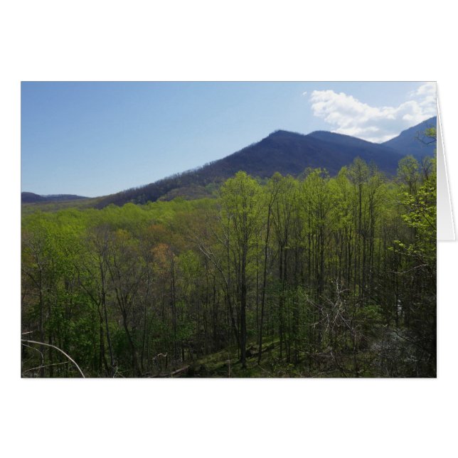 Smokygebirge in der Frühjahrslandschaft (Vorderseite (Horizontal))