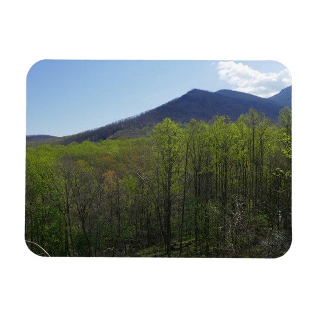 Smokygebirge in der Frühjahrslandschaft Magnet (Horizontal)