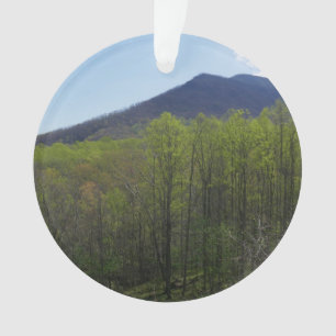 Smokygebirge in der Frühjahrslandschaft Ornament