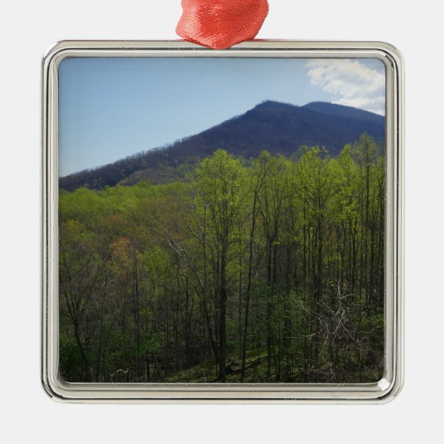Smokygebirge in der Frühjahrslandschaft Ornament Aus Metall (Vorne)