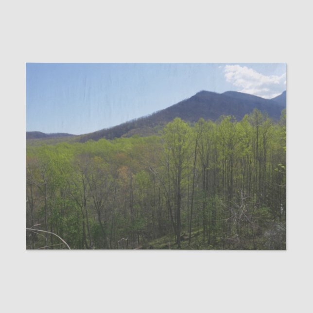 Smokygebirge in der Frühjahrslandschaft Seidenpapier (Vorderseite)