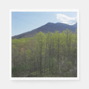 Smokygebirge in der Frühjahrslandschaft Serviette