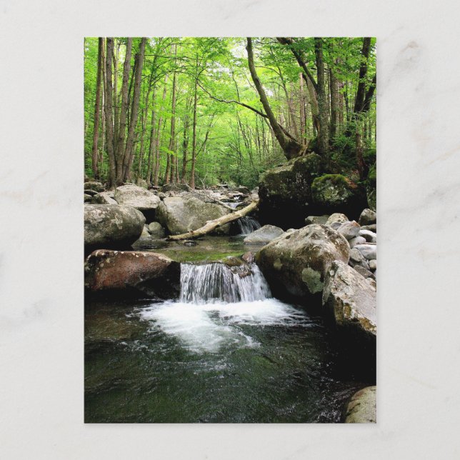 Smokygebirge Postkarte (Vorderseite)