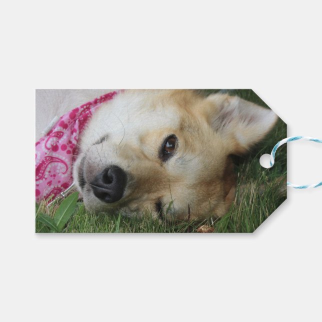 Smoochie Geschenkanhänger (Vorderseite (Horizontal))