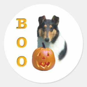 Smooth Collie Boo - Aufkleber