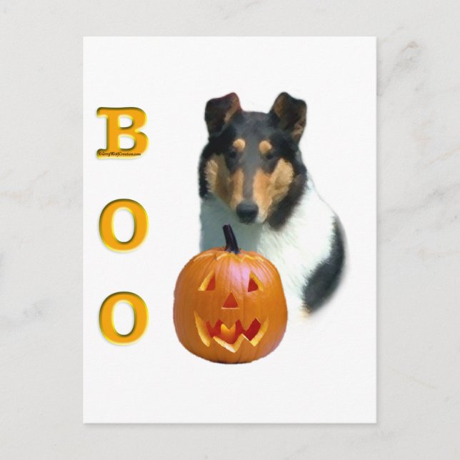 Smooth Collie Boo Postkarte (Vorderseite)