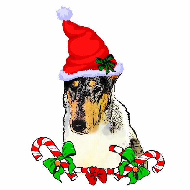 Smooth Collie Weihnachtsgeschenke Ornament Fotoskulptur Ornament (Vorne)