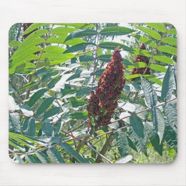 Smooth Sumac Berries Mousepad (Vorne)