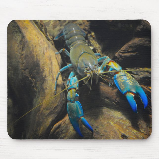 Smooth Yabby Mousepad (Vorne)